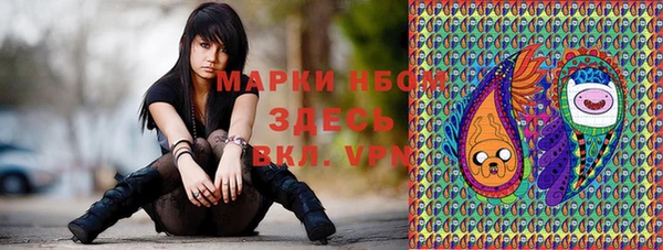 мяу мяу мука Абаза
