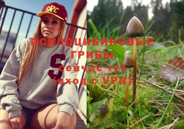 мяу мяу мука Абаза