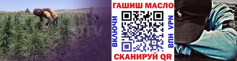 как найти закладки  Александровск  Дистиллят ТГК Wax 
