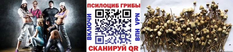 Галлюциногенные грибы GOLDEN TEACHER  Александровск 